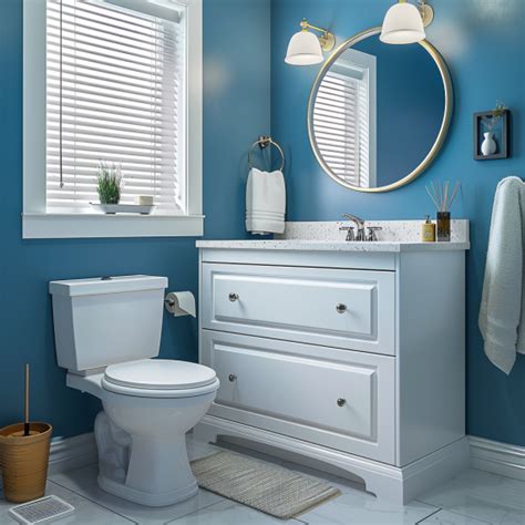 Project Source® Toilet, Faucet, Cabinets, Blinds, 